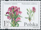 Polish Stamps scott3814-15, Znaczki Polskie Fischer 4082-83