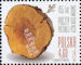 Polish Stamps scott4096, Znaczki Polskie Fischer 4496