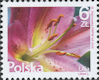 Polish Stamps scott4236, Znaczki Polskie Fischer 4703