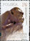 Polish Stamps scott4386-89, Znaczki Polskie Fischer 4929-32